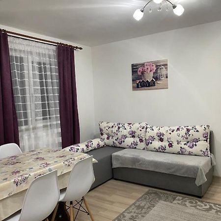5 Residence Apartment Cavnic Eksteriør bilde