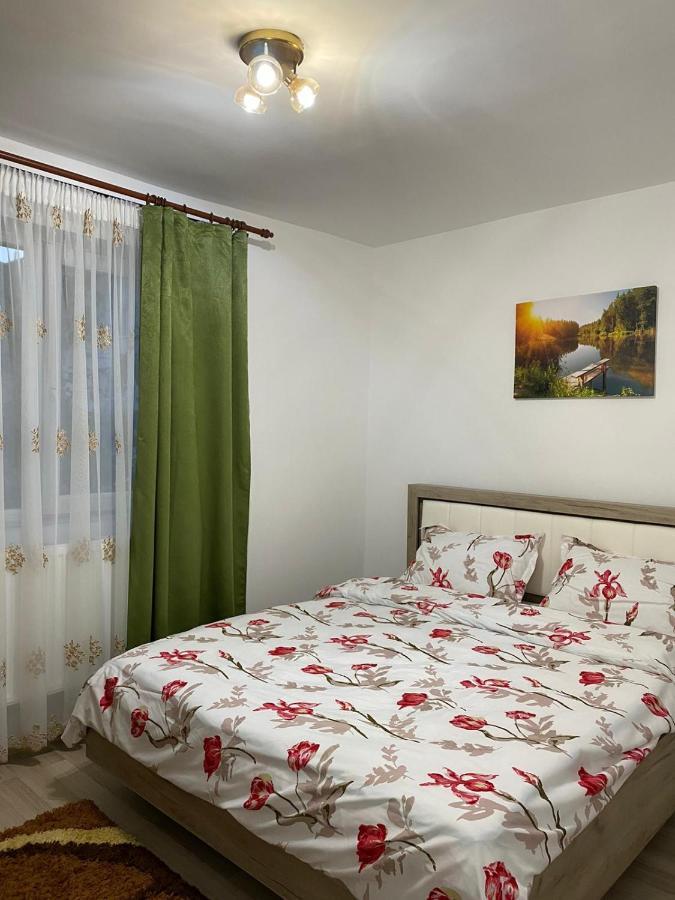 5 Residence Apartment Cavnic Eksteriør bilde
