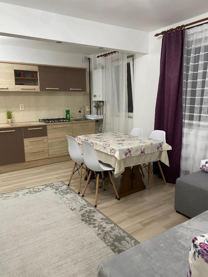 5 Residence Apartment Cavnic Eksteriør bilde